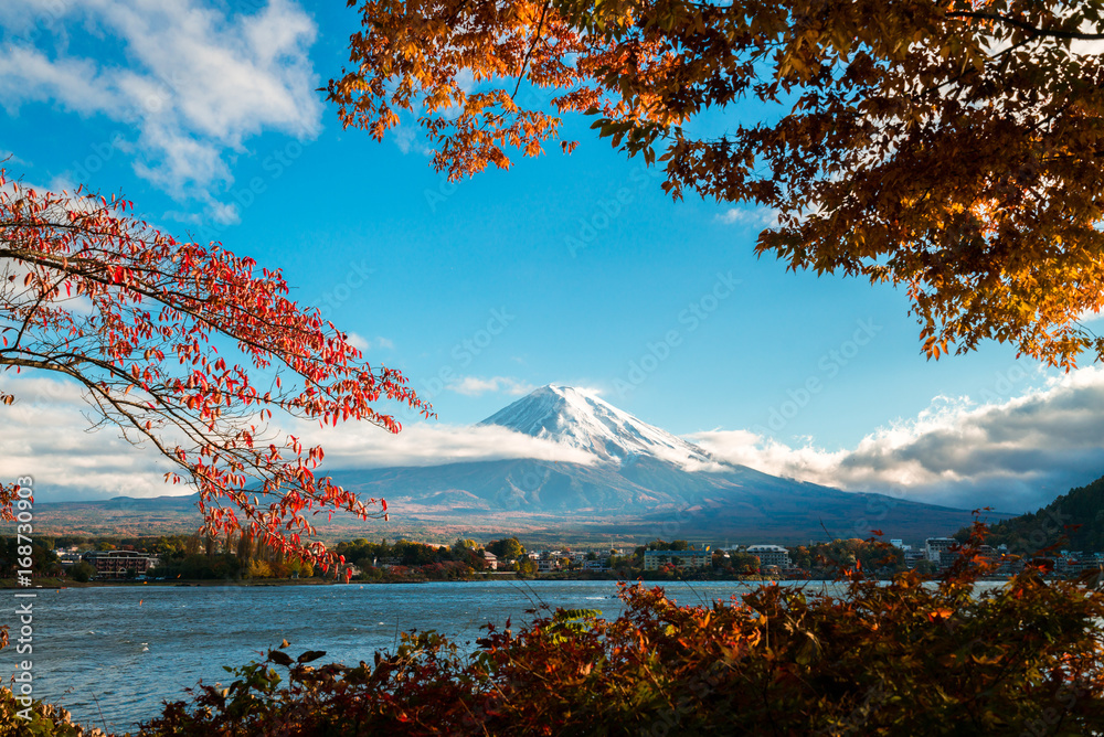 日本秋色富士山