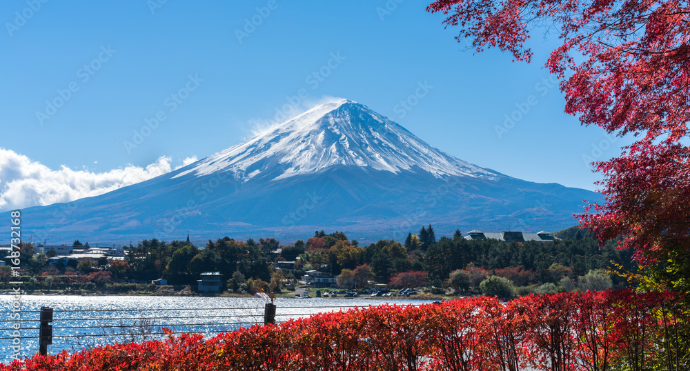 日本秋色富士山