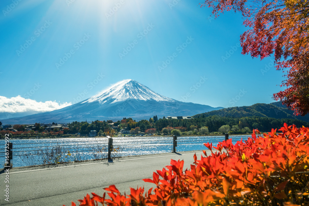 日本秋色富士山