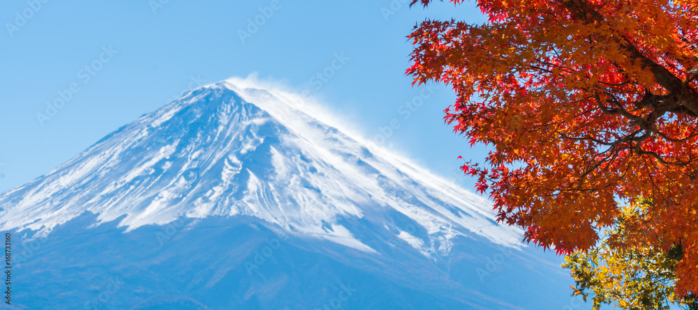 日本秋色富士山