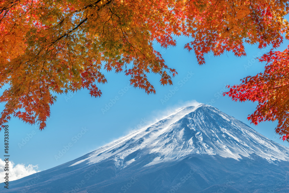 日本秋色富士山