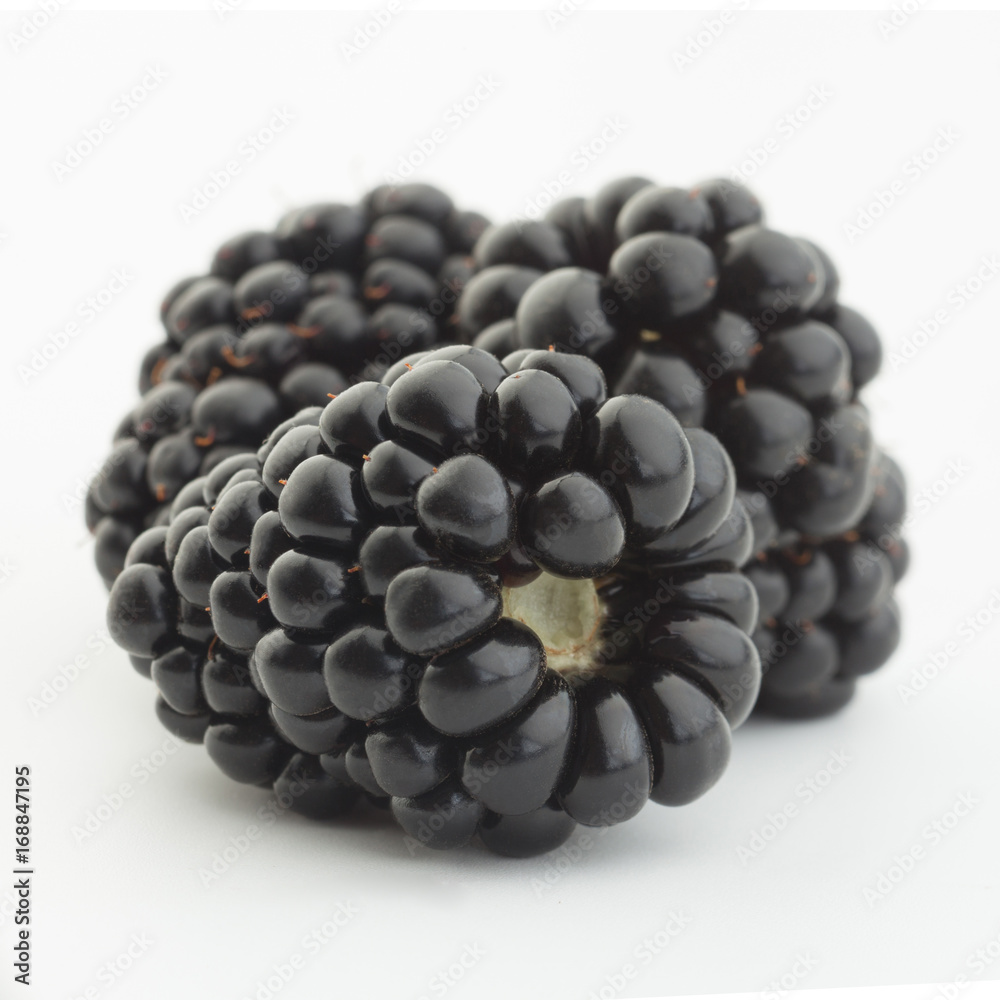 Blackberry fruit on white