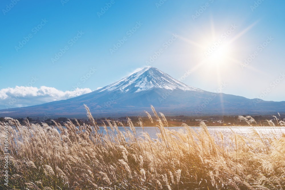 日本秋色富士山