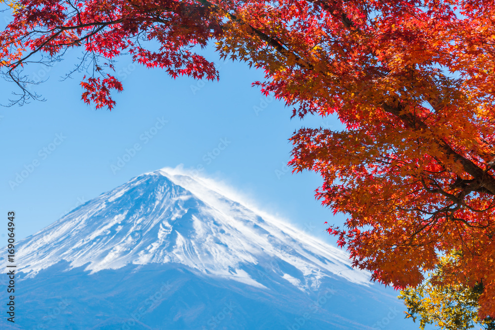 日本秋色富士山