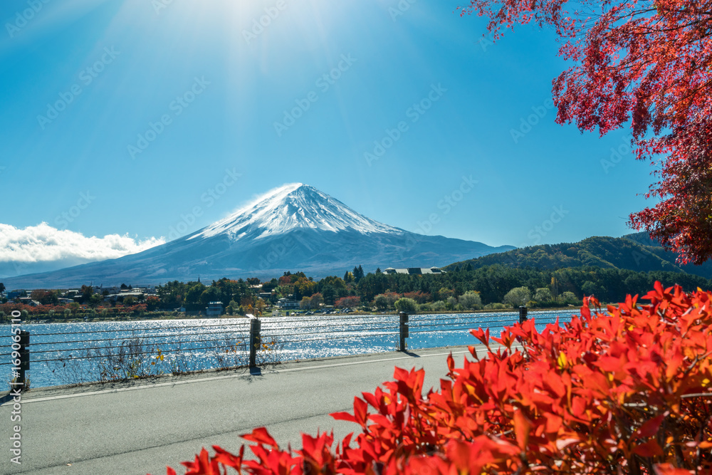 日本秋色富士山