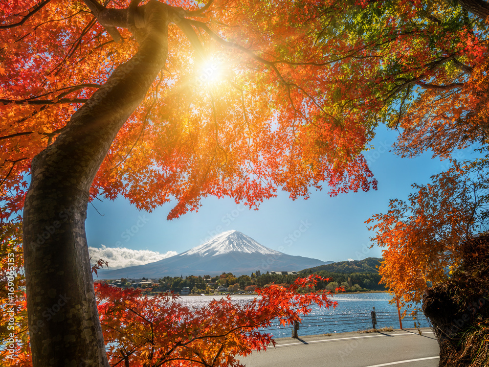 日本秋色富士山