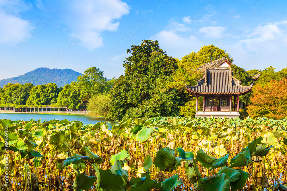 杭州西湖美景