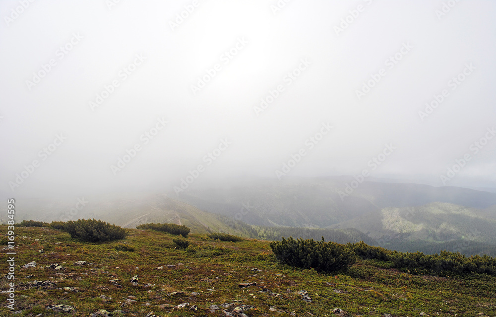 夏季山地景观。俄罗斯贝加尔湖上的山丘和草地景观