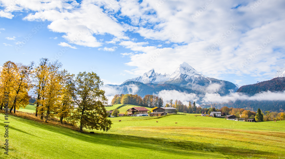 德国巴伐利亚州Berchtesgaden，田园风光，色彩缤纷的树木，白雪皑皑的山峰