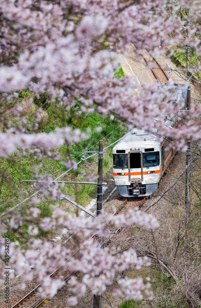 神奈川县山北镇樱花海景日本列车