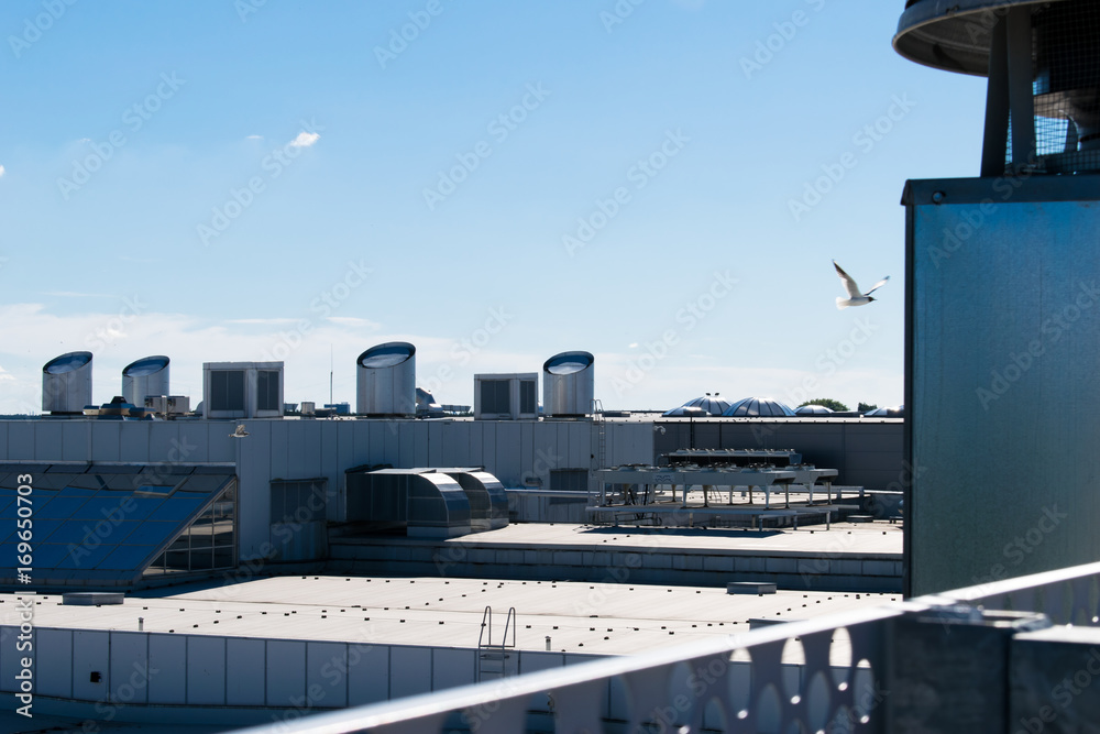 Bird flying above the industrial roof at sunny day