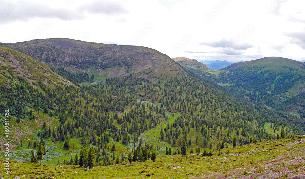 夏季山地景观。俄罗斯贝加尔湖的山丘和草地景观