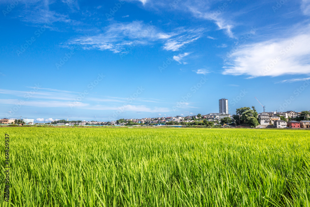 横浜郊外の風景