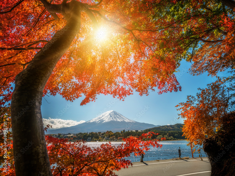 日本秋色富士山