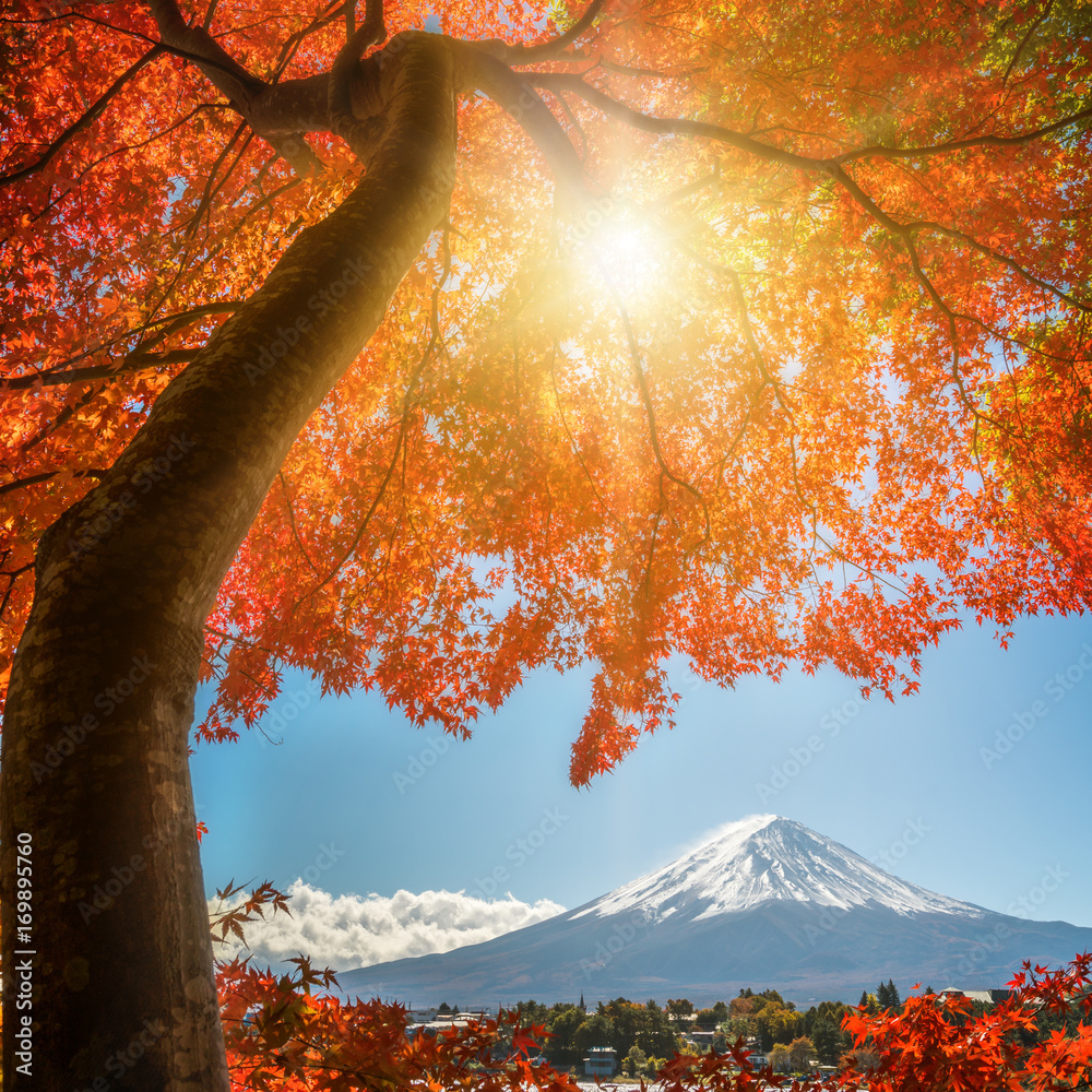 日本秋色富士山