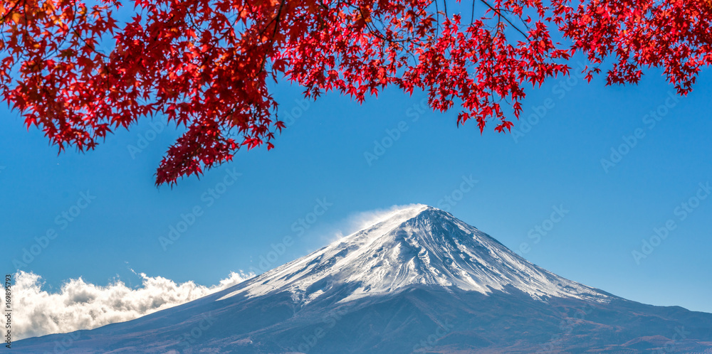 日本秋色富士山