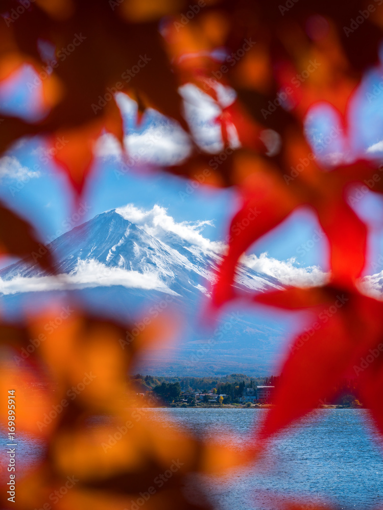 日本秋色富士山