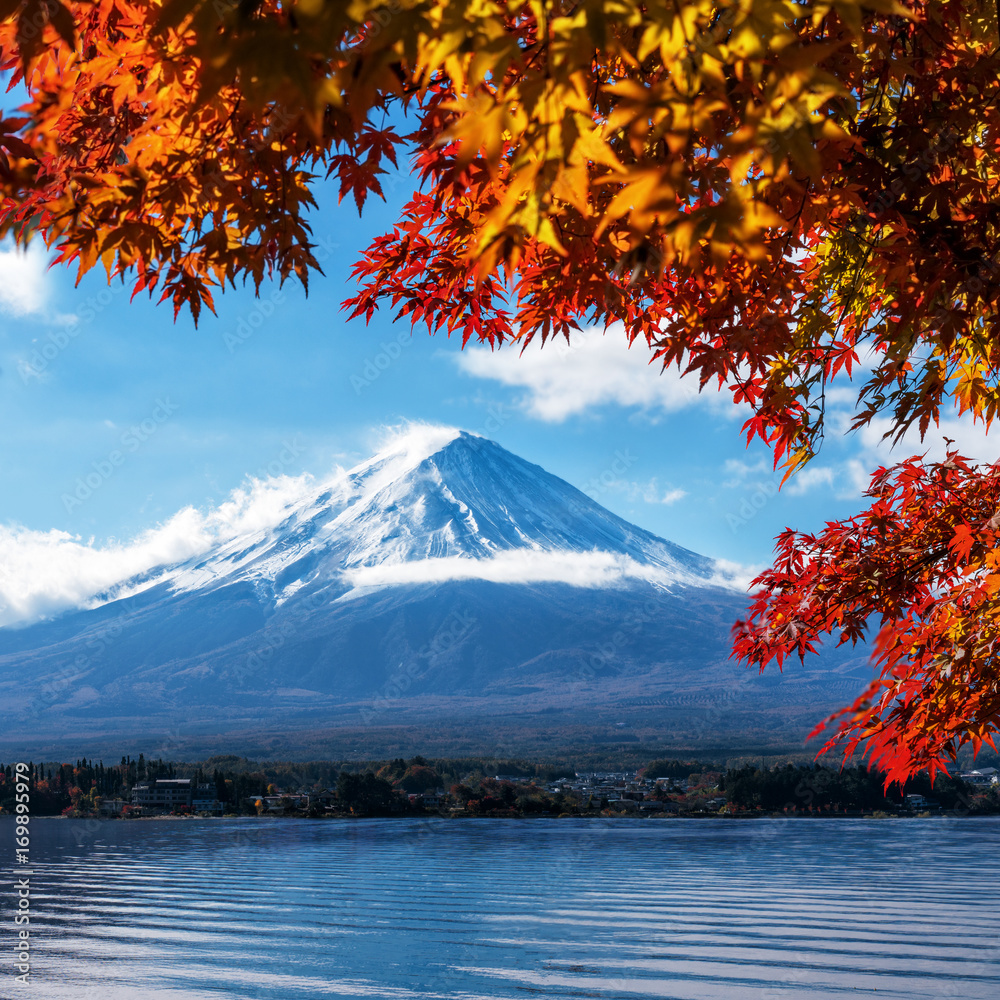 日本秋色富士山