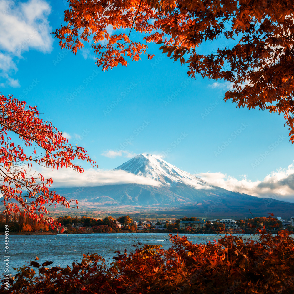 日本秋色富士山