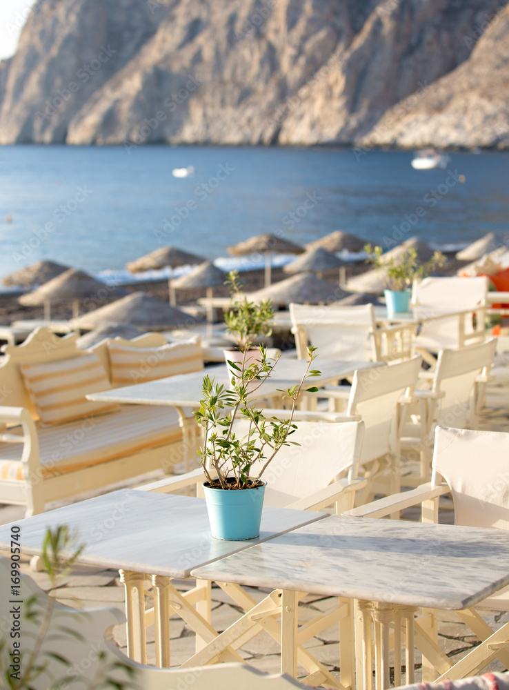 A small olive tree as a decoration of a restaurant table by the sea