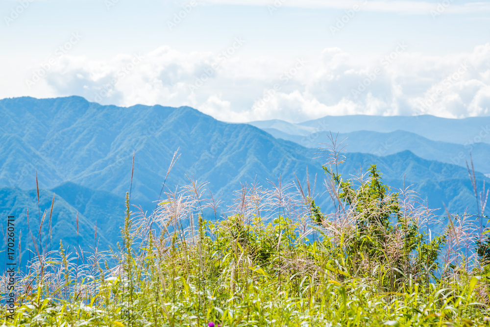 三つ峠から見る山並とススキ