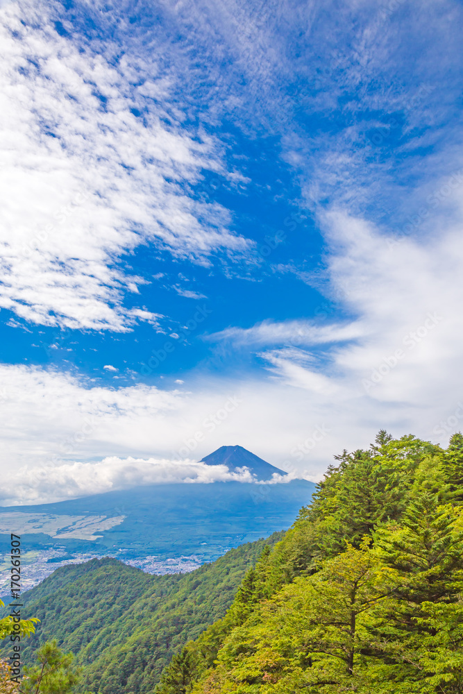 三つ峠から見る富士山