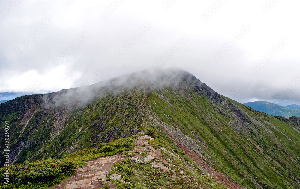 夏季山地景观。俄罗斯贝加尔湖的山丘和草地景观