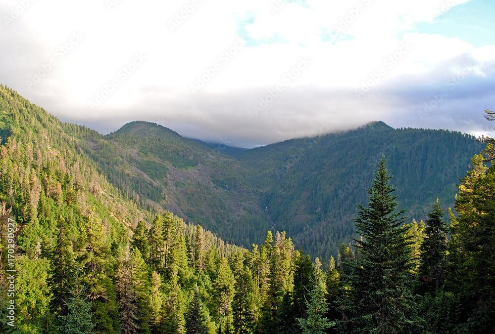 夏季山地景观。俄罗斯贝加尔湖的山丘和草地景观