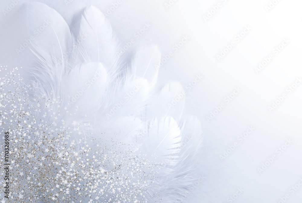 Airy soft Abstract gentle natural background with bird feathers macro with soft focus on light backg