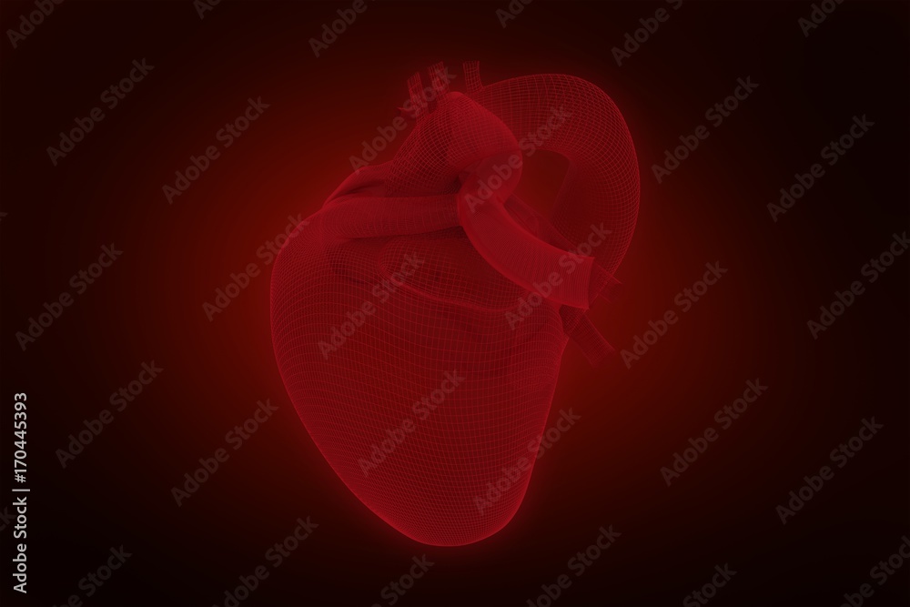 Composite image of vector image of 3d human heart