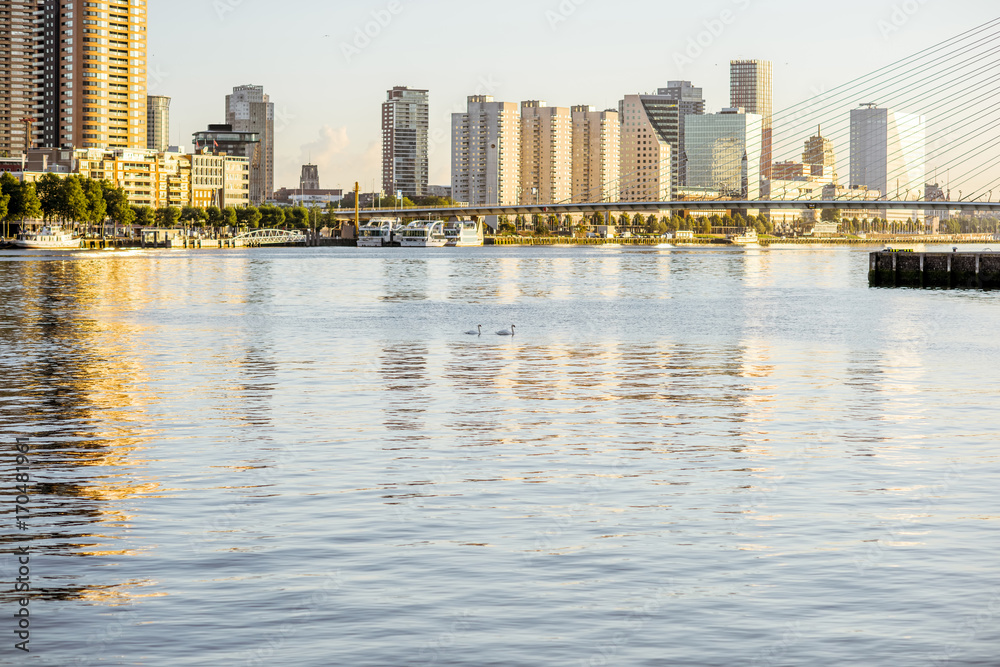 Landscape view on the beautiful riverside with skyscrapers and swans in the water during the morning