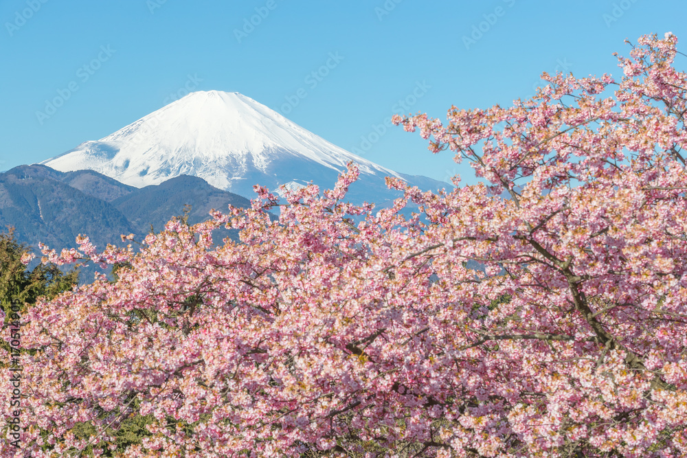 春日的川祖萨卡拉和富士山