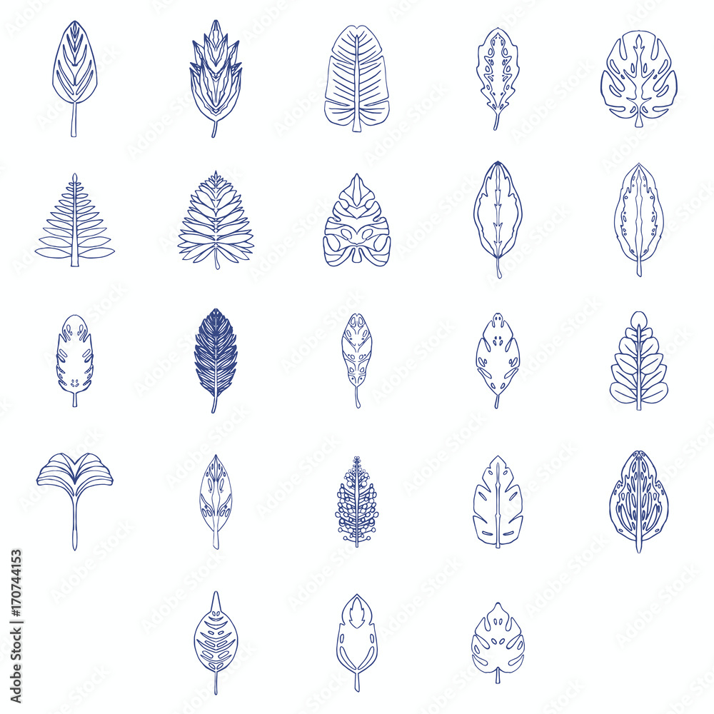 Vector icon of various outline leaves