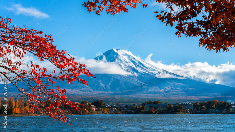 日本秋色富士山