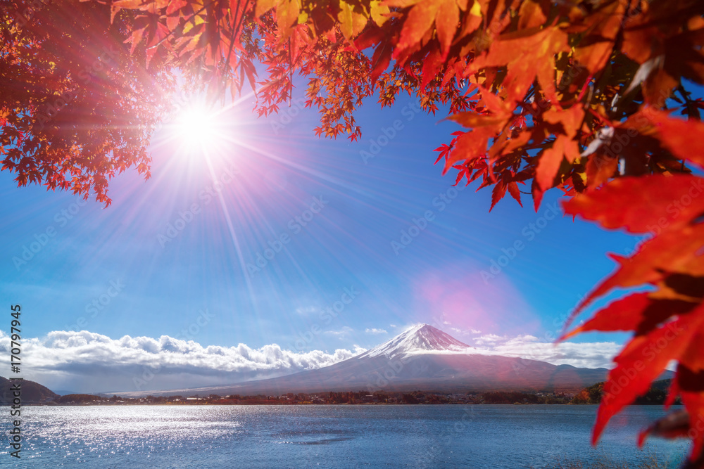 日本秋色富士山