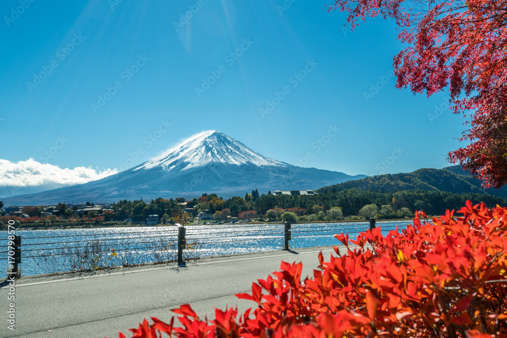 日本秋色富士山