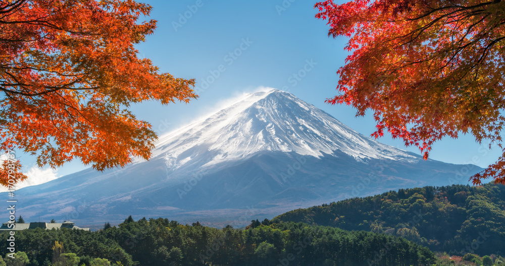 日本秋色富士山