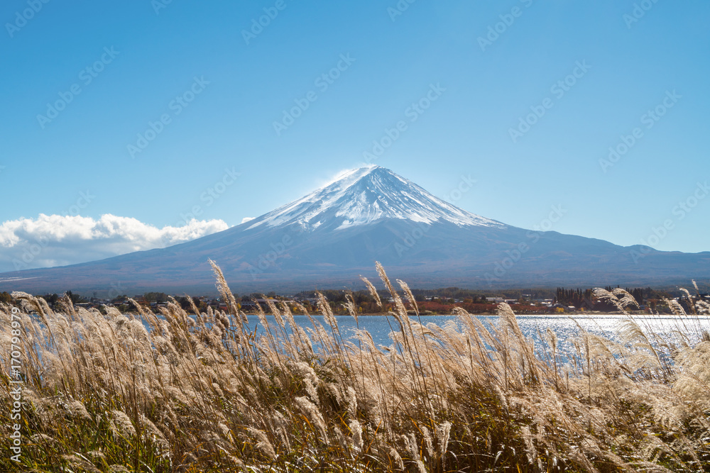 日本秋色富士山