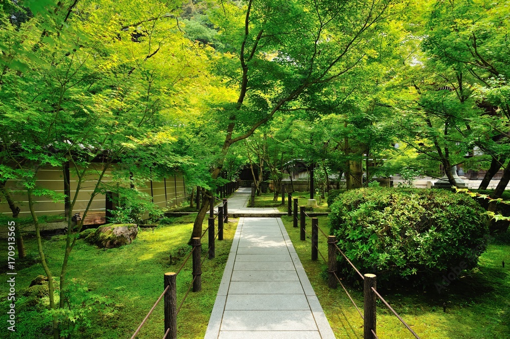 庭園の歩道