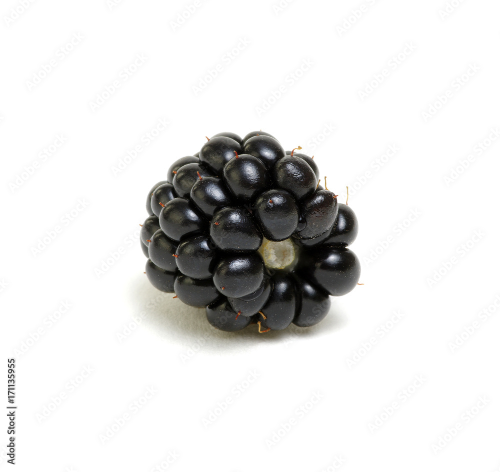 Blackberry isolated on white