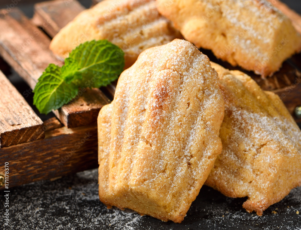 Freshly baked Madeleine cookies sprinkled with sugar powder close-up on the table, petite madeleine.