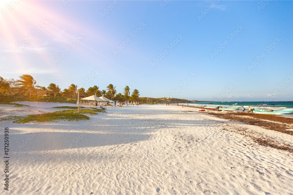 Beach landscape.