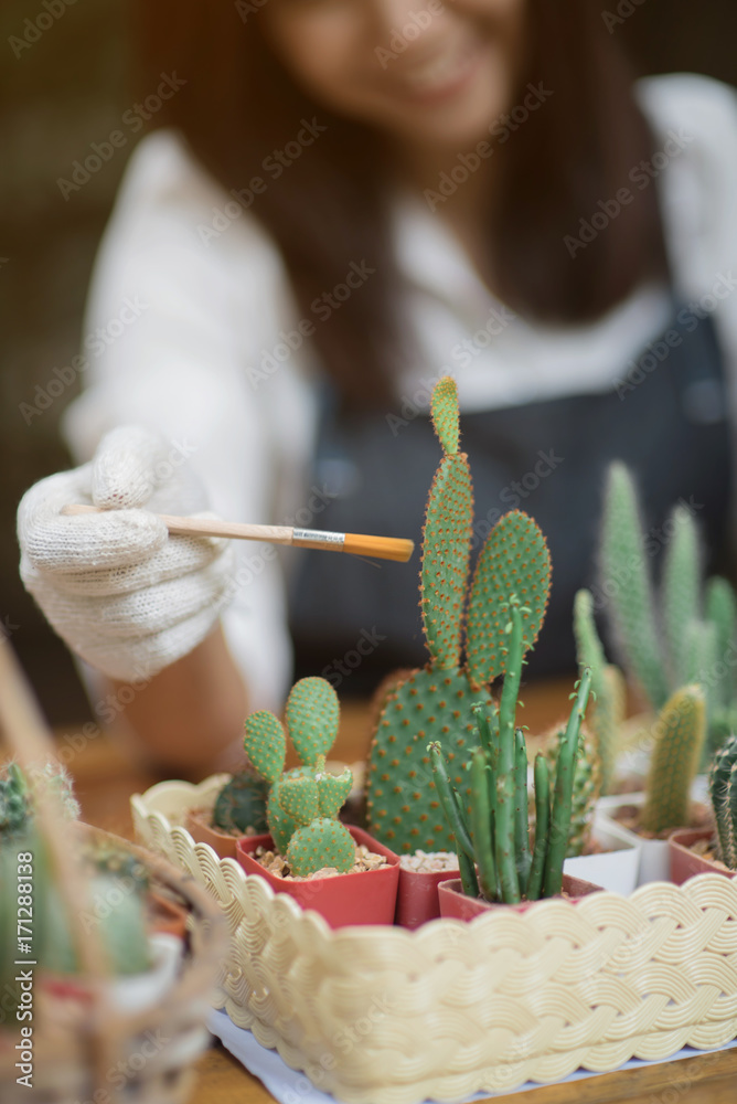 年轻的亚洲女孩在花盆里种植小仙人掌的肖像