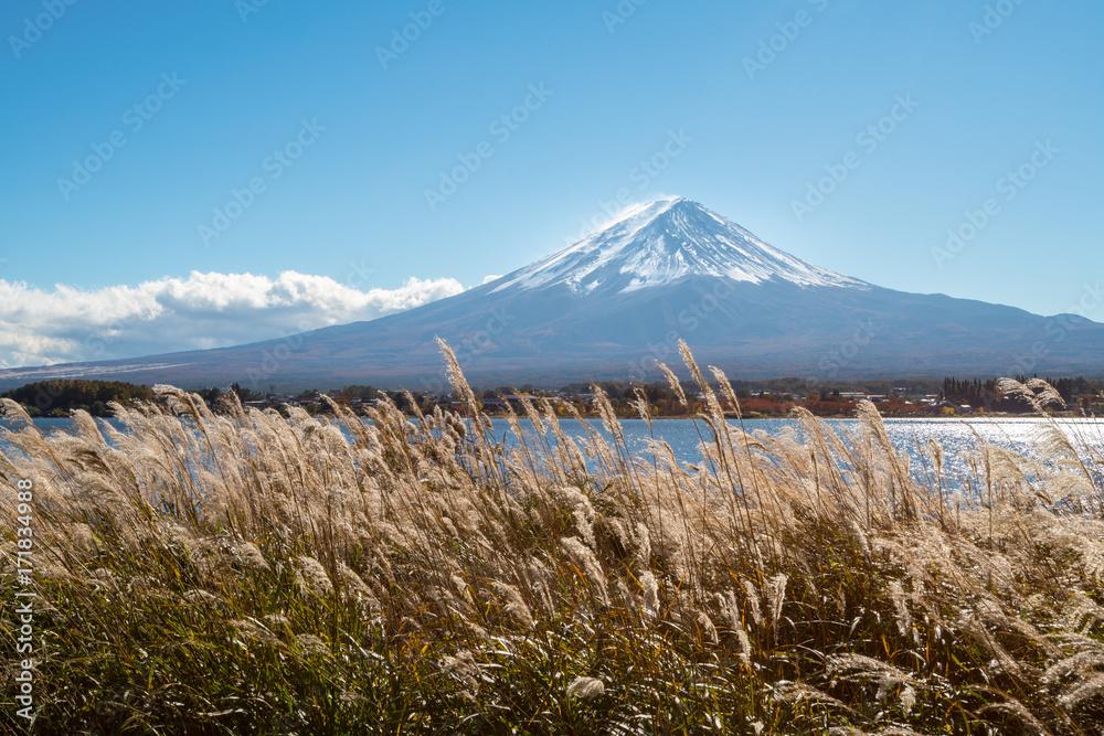 日本秋色富士山