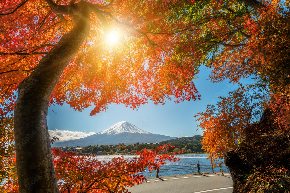 日本秋色富士山