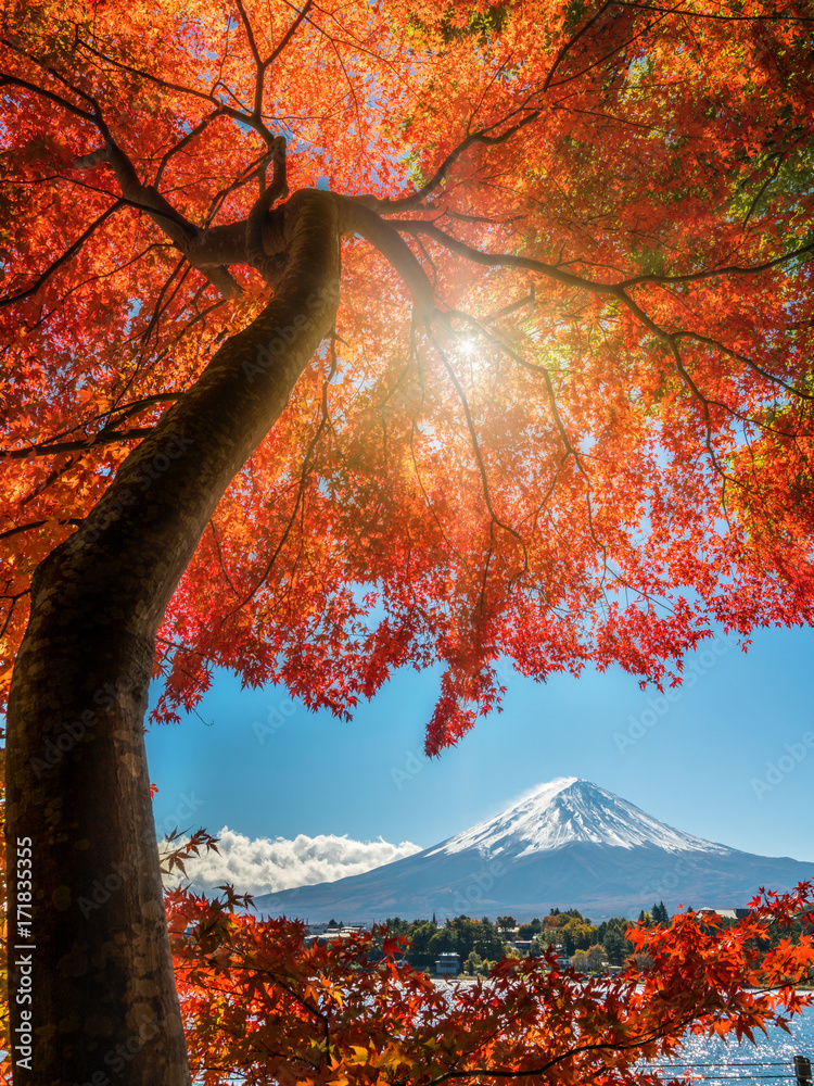 日本秋色富士山