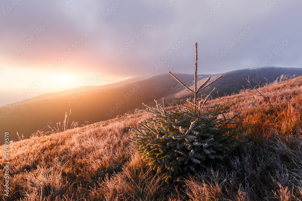 Autumn landscape with frost