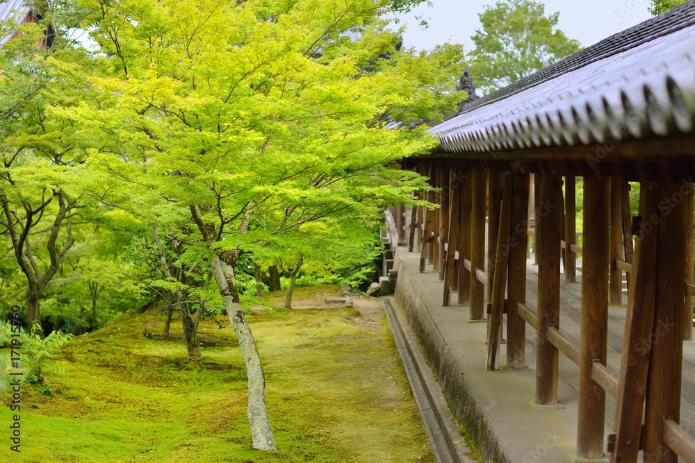 日本庭園の廊下