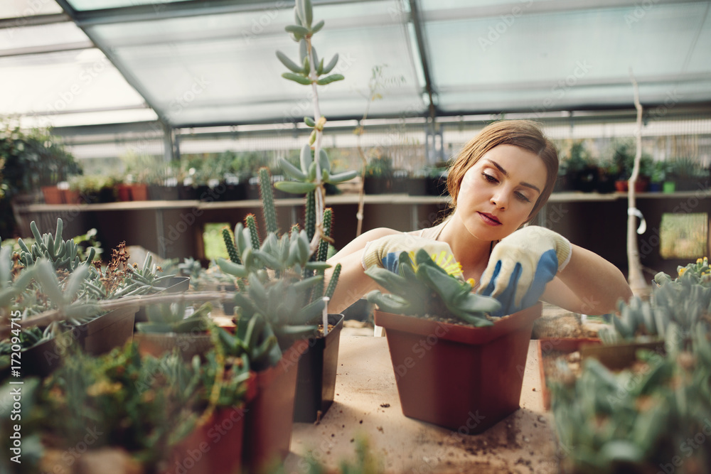 Female worker gardening at greenhouse