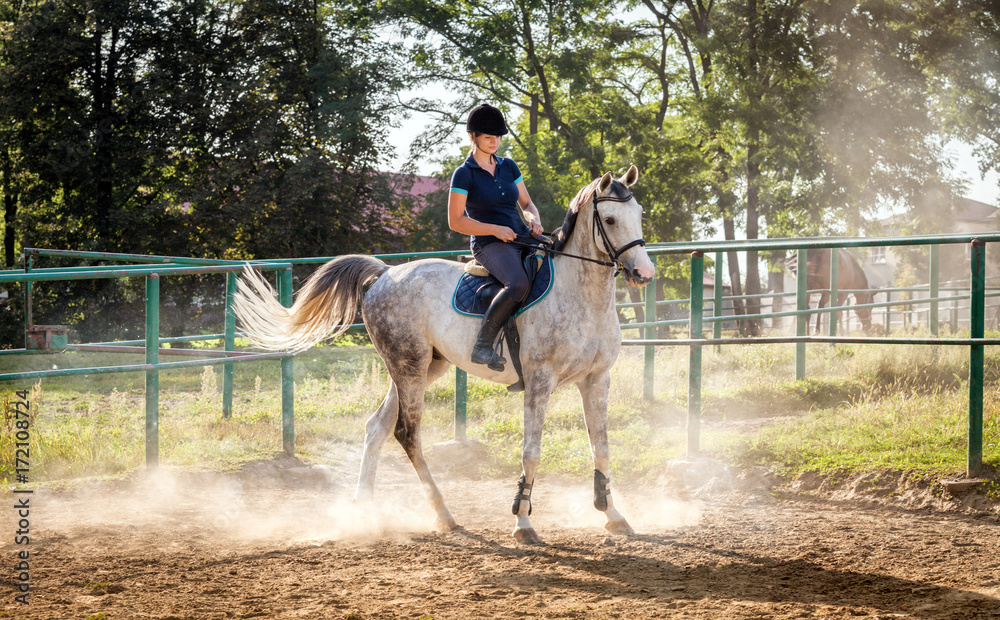 Woman riding a horse in dust on paddock